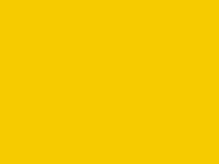 2721 Желтый яркий